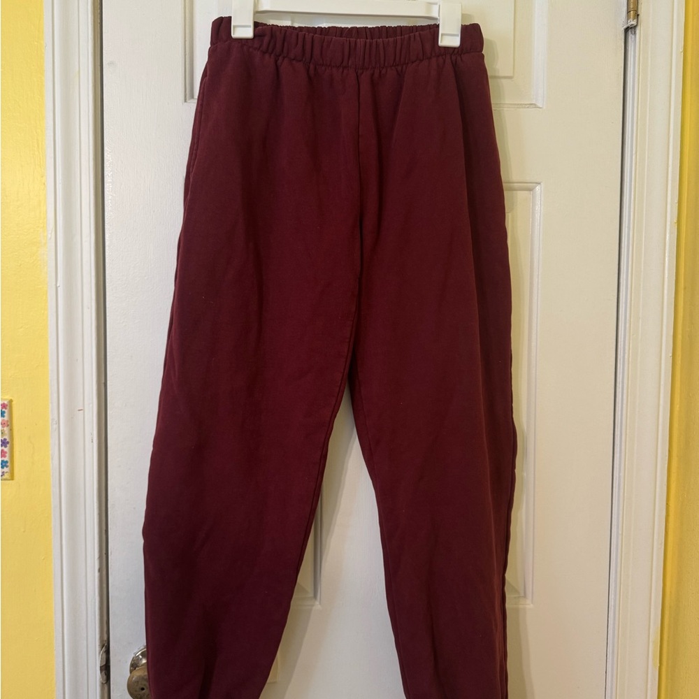 Brandy Melville Maroon Elastic Waist Pants